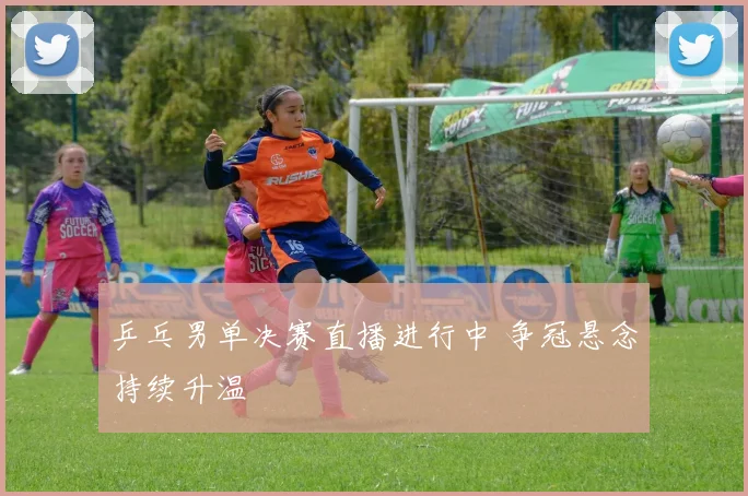 乒乓男单决赛直播进行中 争冠悬念持续升温